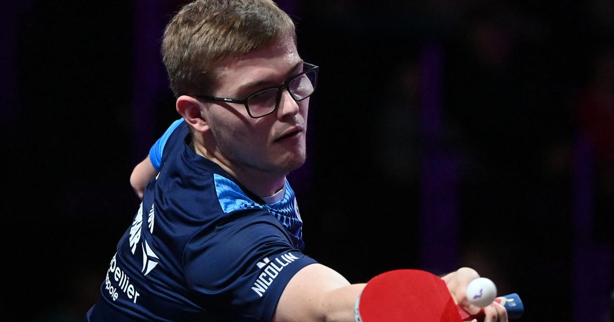 Tennis de table : Alexis Lebrun grimpe encore dans la hiérarchie mondiale