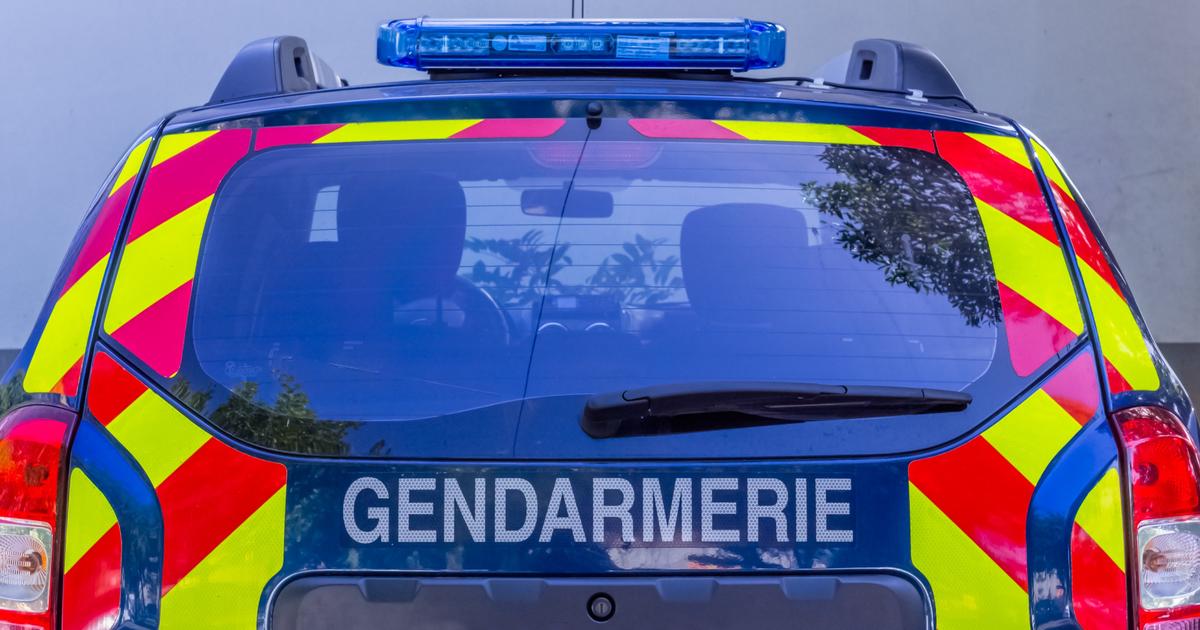 Parricide en Meurthe-et-Moselle : le fils de la victime, âgé de 22 ans, placé en détention provisoire