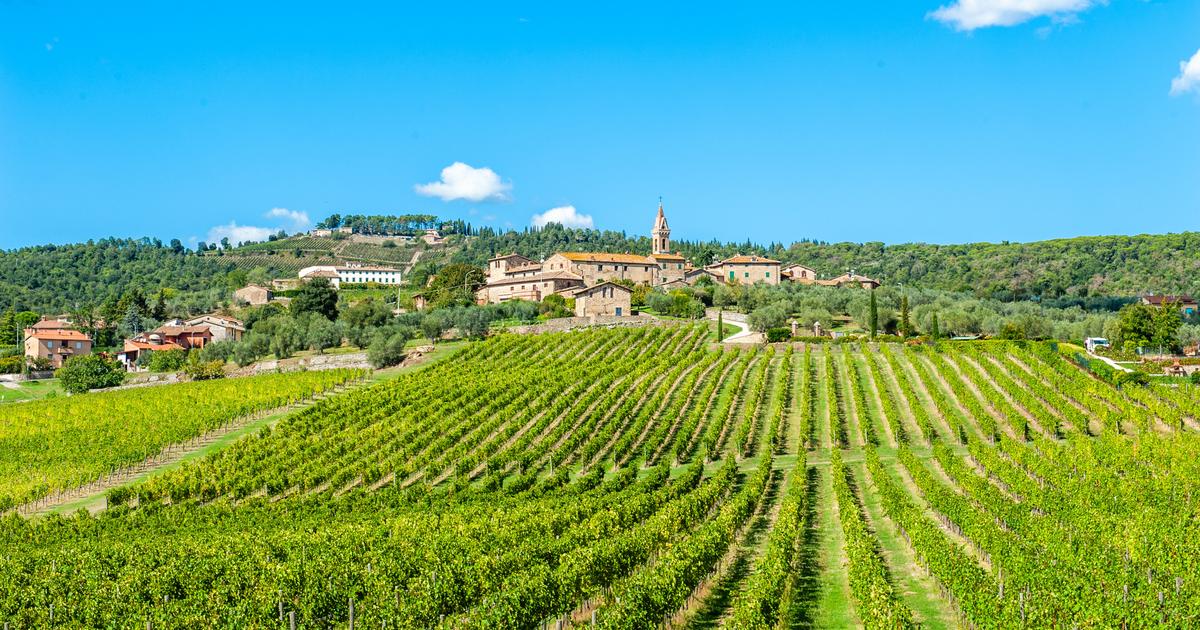 イタリアのワイングロワーズは、トランプの税金のためにアメリカの顧客を失うことを恐れています