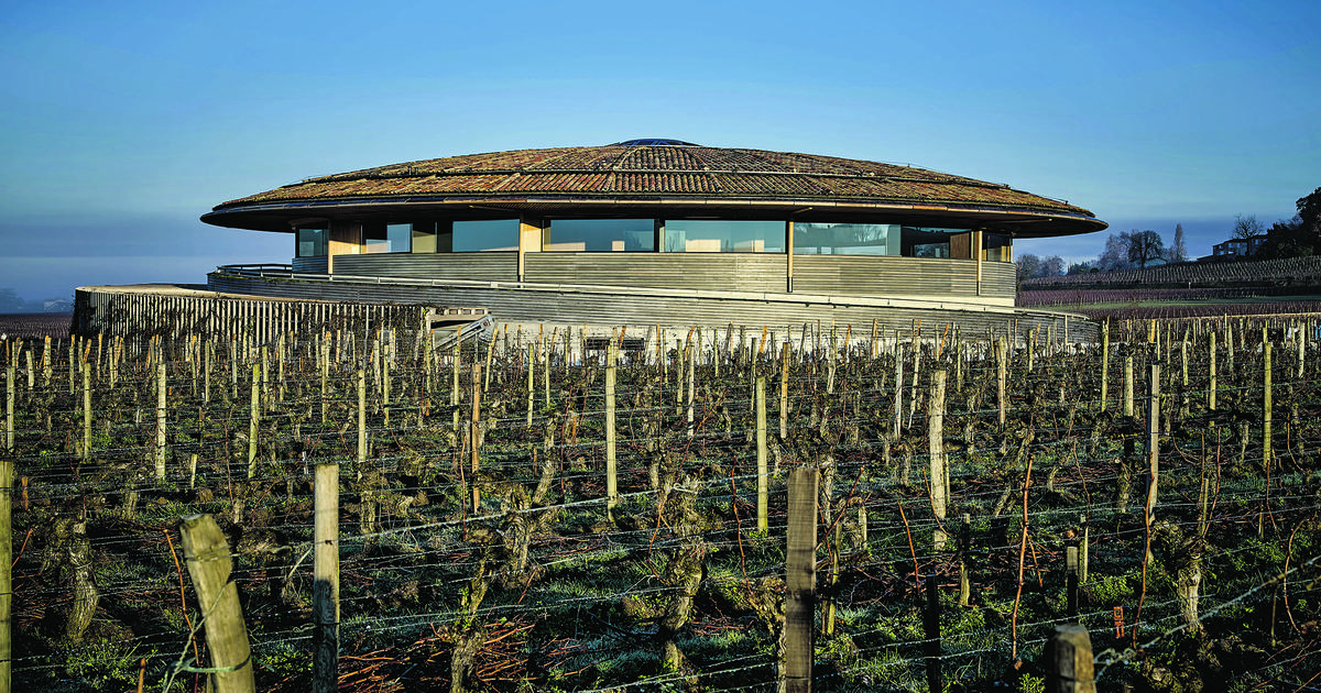 Jonathan Maltus, le vigneron qui ne fait rien comme tout le monde à Bordeaux et à qui tout réussit