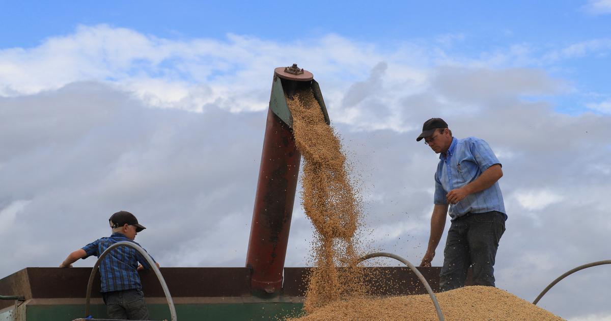 Loi agricole : les «fondamentaux» du texte préservés, malgré la censure du Conseil constitutionnel