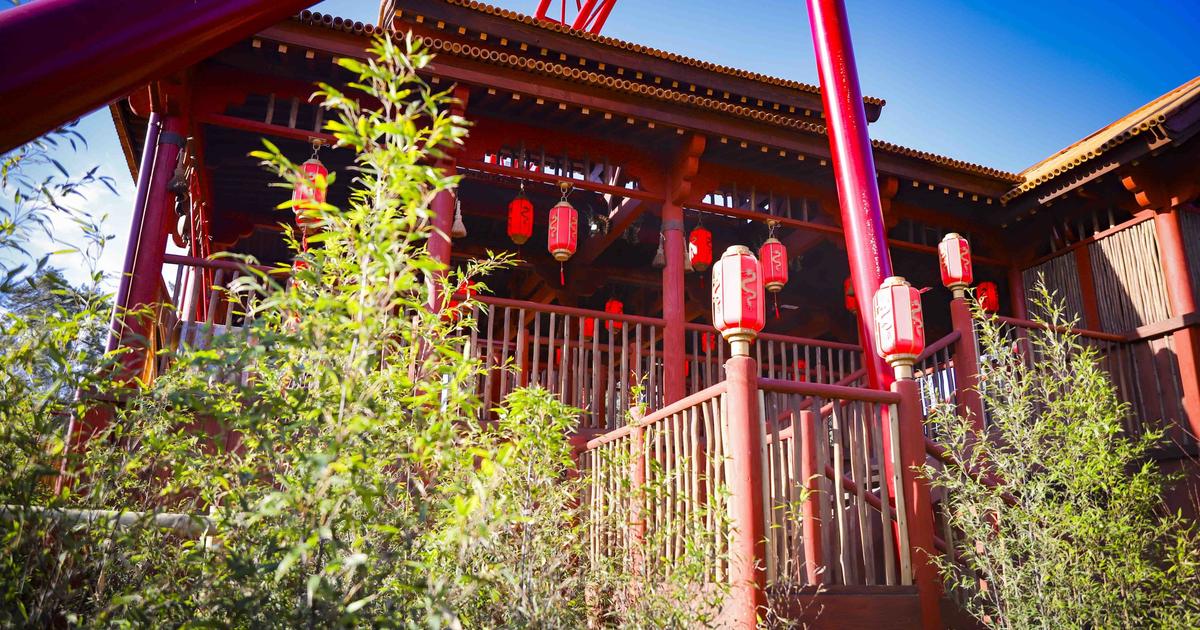 「ドラゴンチャレンジ」により、順応庭園は新しい聴衆を引き付けるために脱皮を続けています
