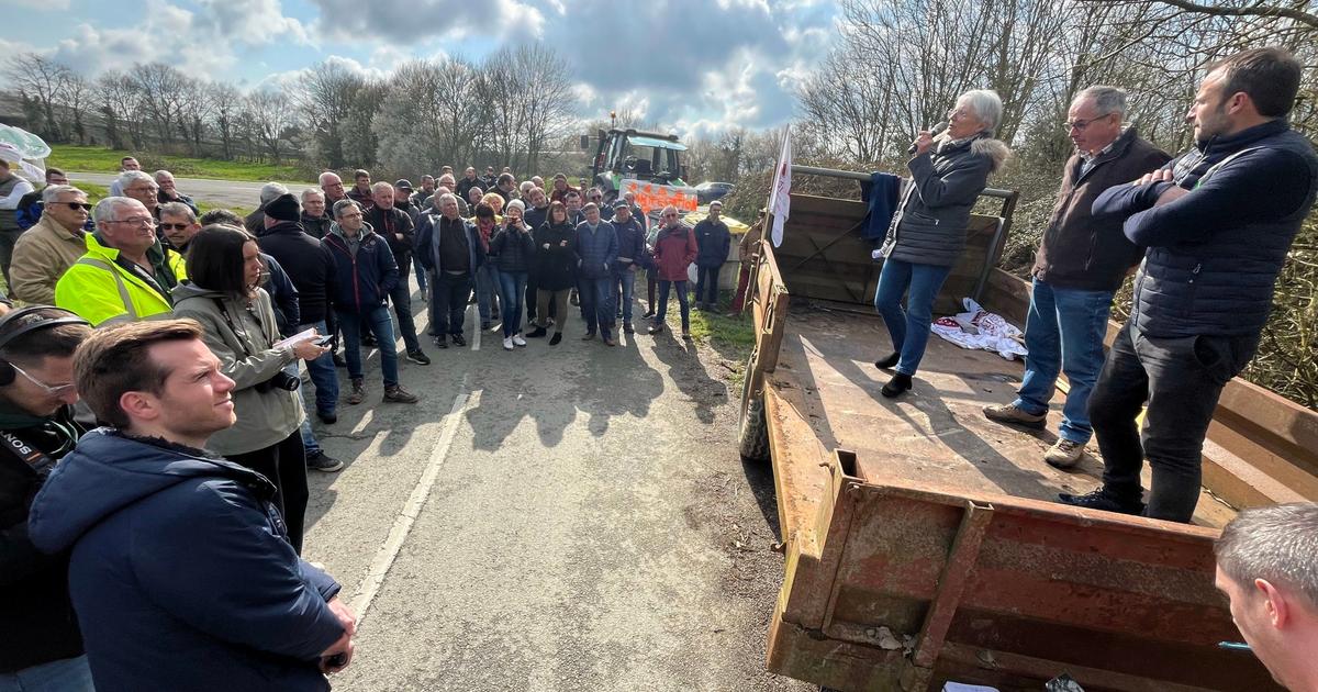 En Mayenne, l’histoire insensée d’une ferme squattée dont les occupants revendent le lait