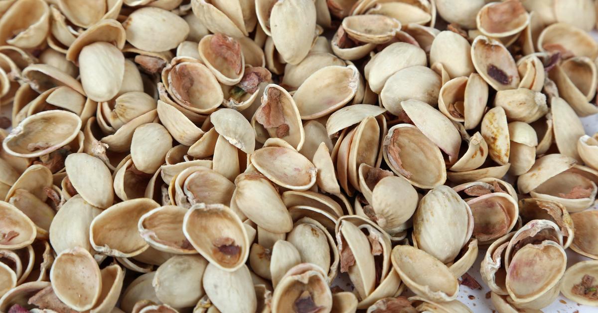 Ne jetez plus vos coques de pistaches : elles peuvent être avantageuses au jardin