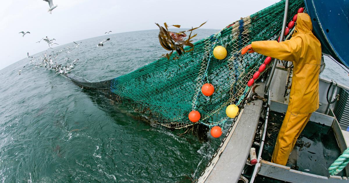 フランスはフランスの海で次の国連サミットを準備しています