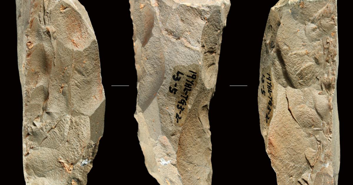 中国で発見された60、000年前の奇妙なヨーロッパの道具