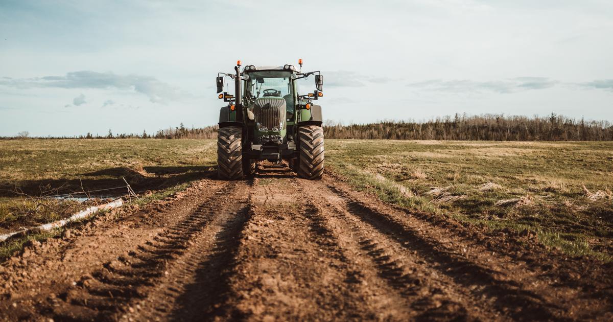 «Il y a urgence à travailler sur la santé des sols»: l’état alarmant des terres agricoles françaises