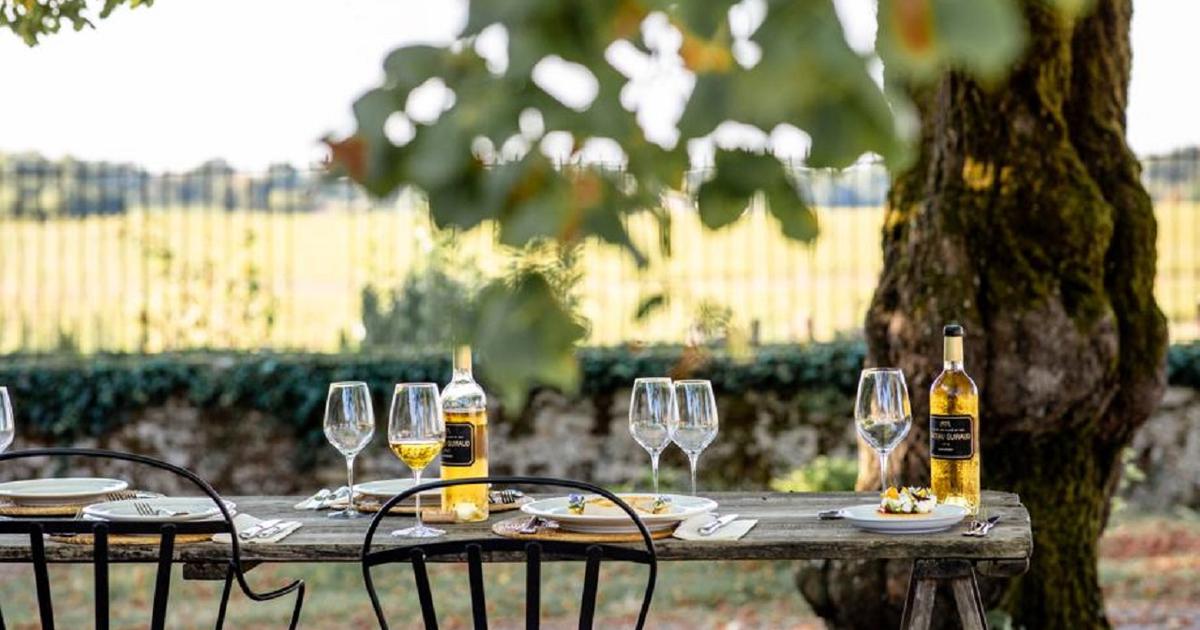 Cinq restaurants abordables à découvrir dans le vignoble bordelais