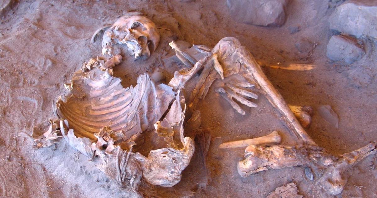 7000年前、サハラは緑で、アフリカの最初の羊飼いが住んでいました