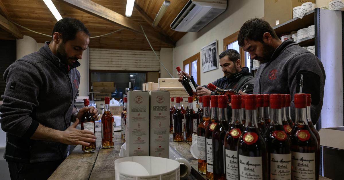 Dans le Sud-Ouest, l’inquiétude des producteurs d’armagnac suite à l’annonce des droits de douane aux États-Unis