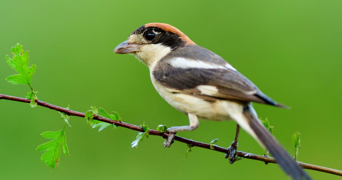 feature-image