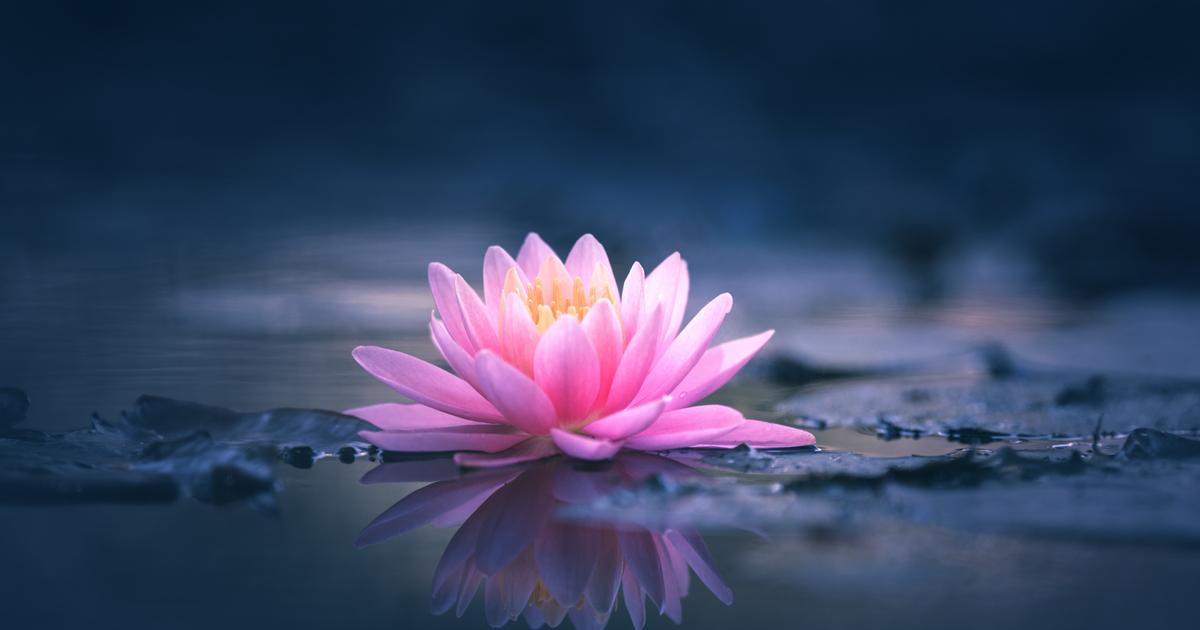 feature-image