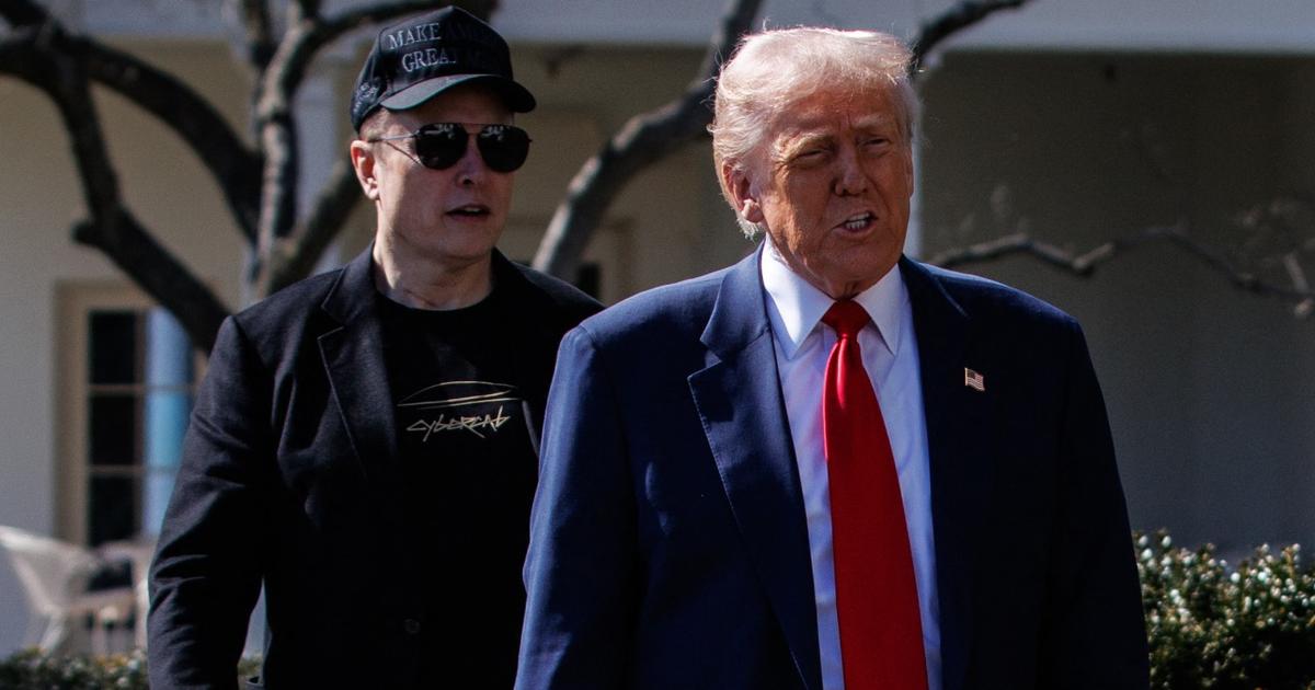 Elon Musk déjà sur le départ : pourquoi Donald Trump en a ras le bol du ...