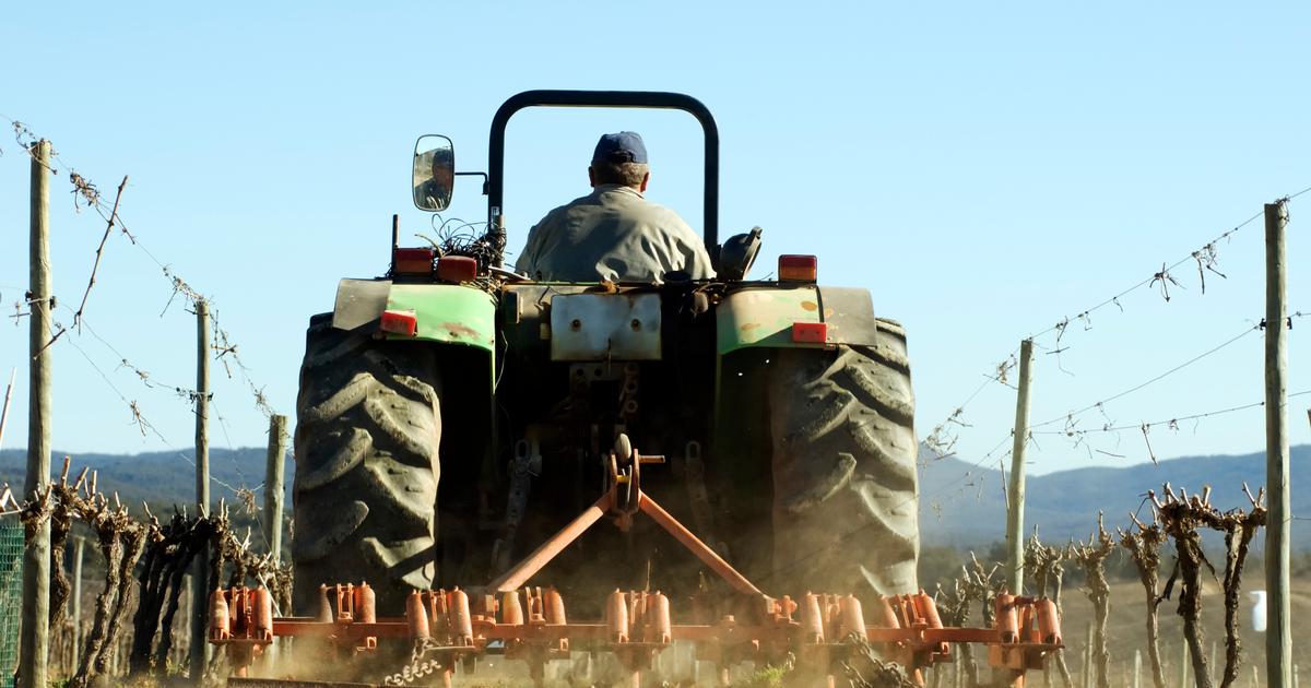 Les sols viticoles sont-ils en mauvaise santé ?