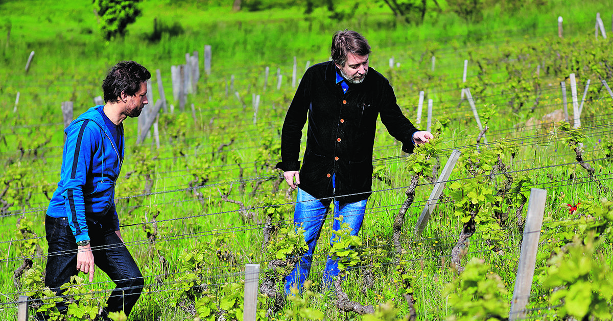 Pourquoi le domaine des Deux Chênes est une propriété à suivre de près dans le Beaujolais