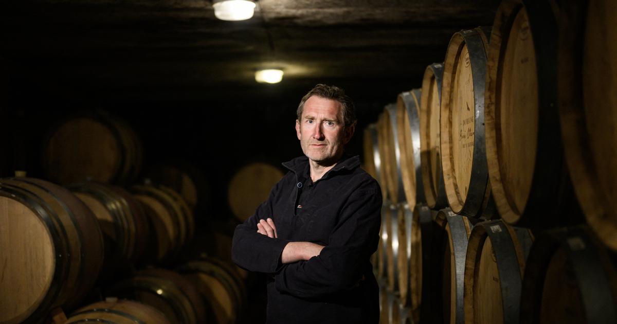 «Il va falloir qu’il y ait des pratiques qui changent» : comment les vins de Bourgogne comptent atteindre la neutralité carbone dès 2035