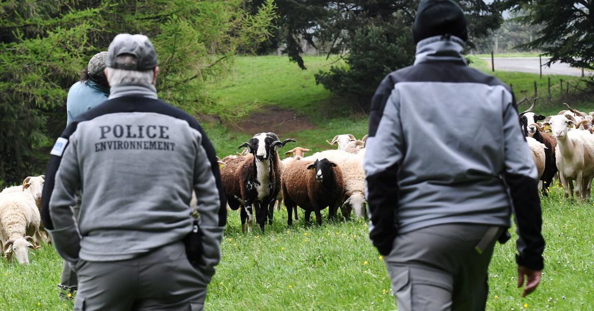 «Il faut éviter d’avoir des gens traumatisés» : toujours sous pression, la police de l’environnement tente d’apaiser les tensions