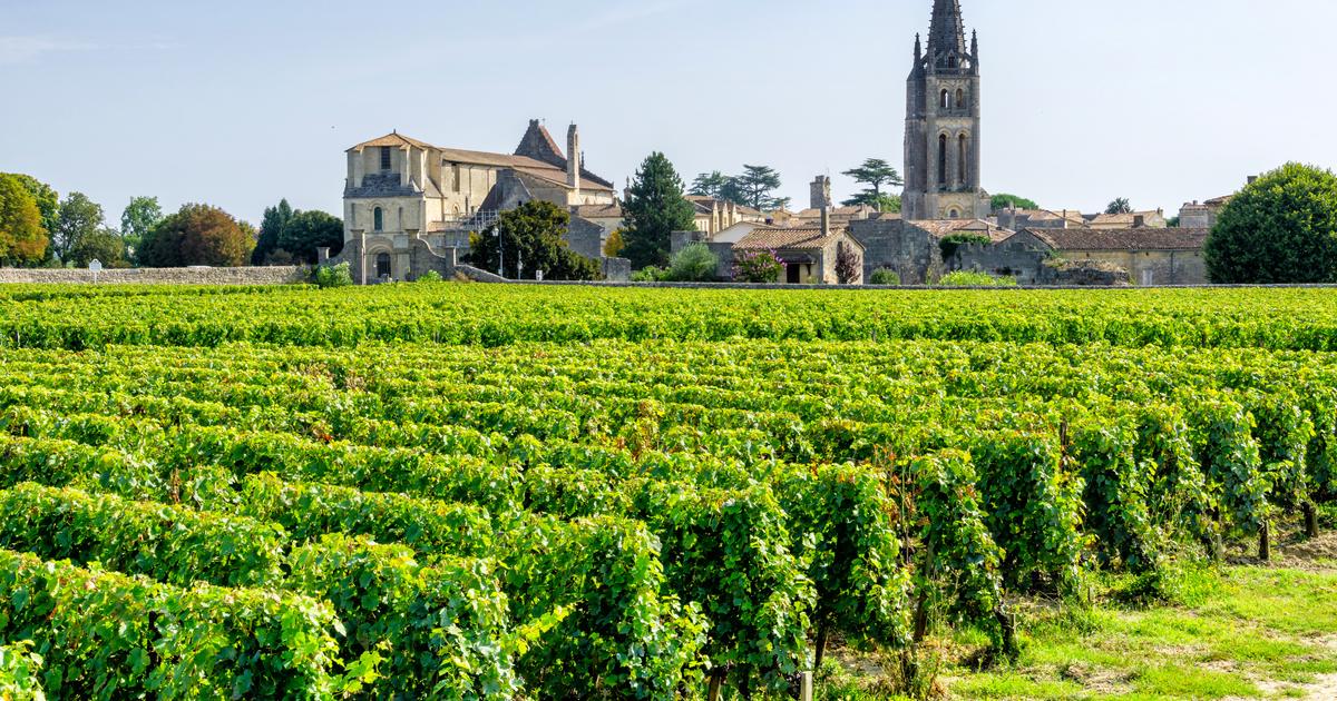 Millésime 2022 à Bordeaux : notre classement des 30 meilleurs vins