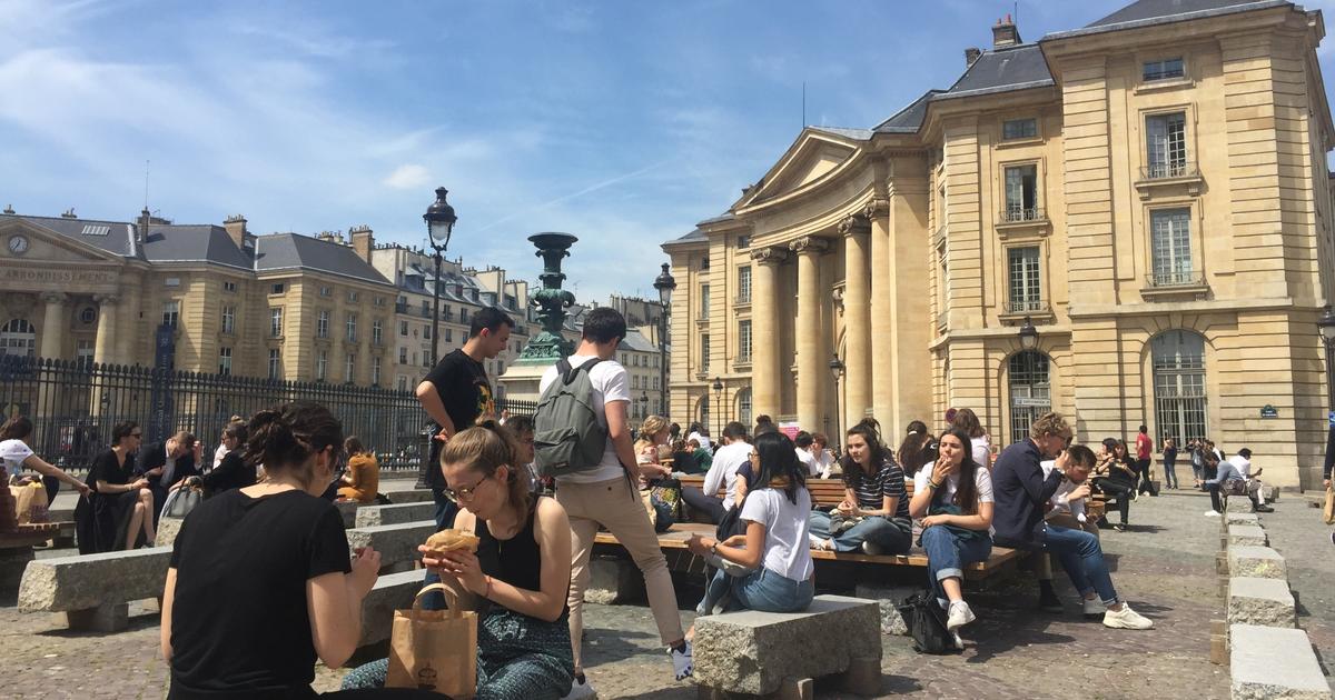 Découvrez les meilleures facultés de droit en France selon le classement 2025 du Figaro