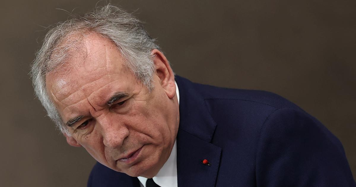 «Fine lectrice», «très discrète» : Qui est Hélène Perlant, la fille de François Bayrou, violentée lors d’un camp à Bétharram ?
