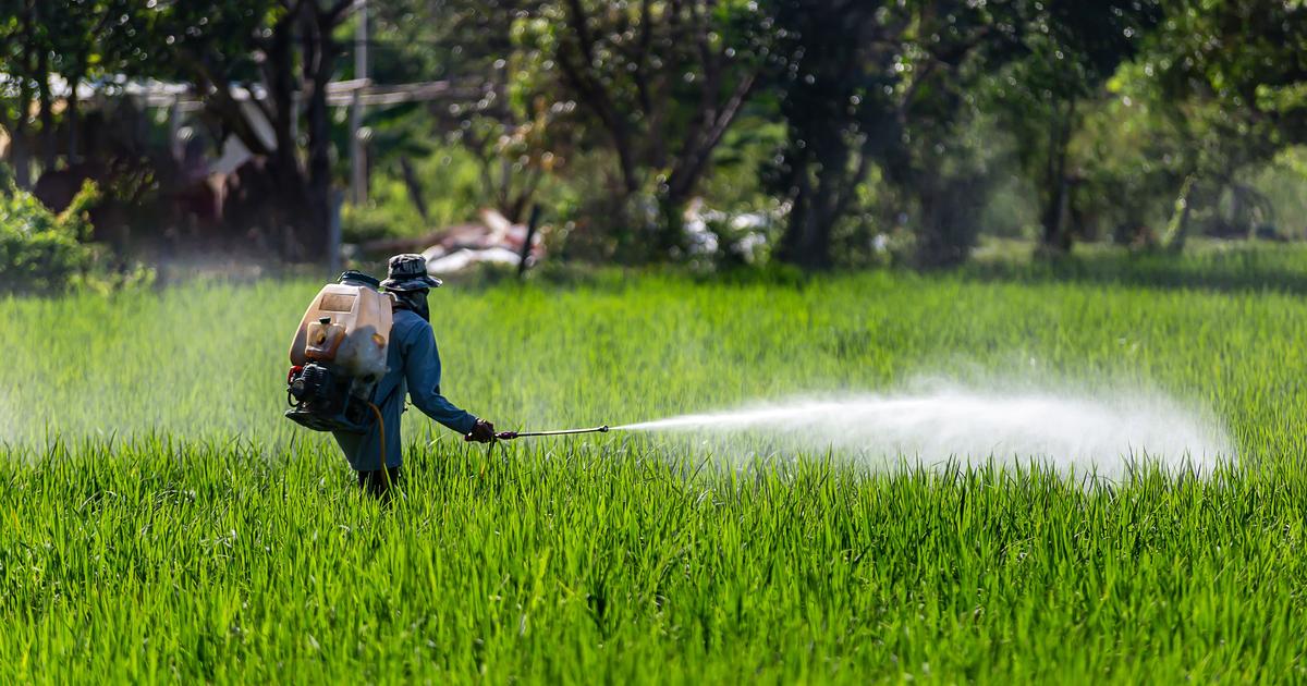 Bayer songe à cesser de vendre du glyphosate