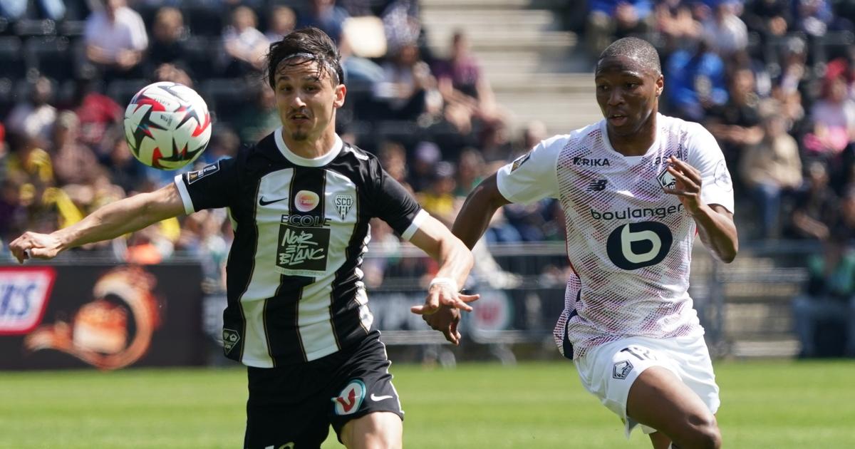 ライブ-Angers -Lille：HaraldssonはLOSCをシェルターに置きます、SCOは打撃を非難します