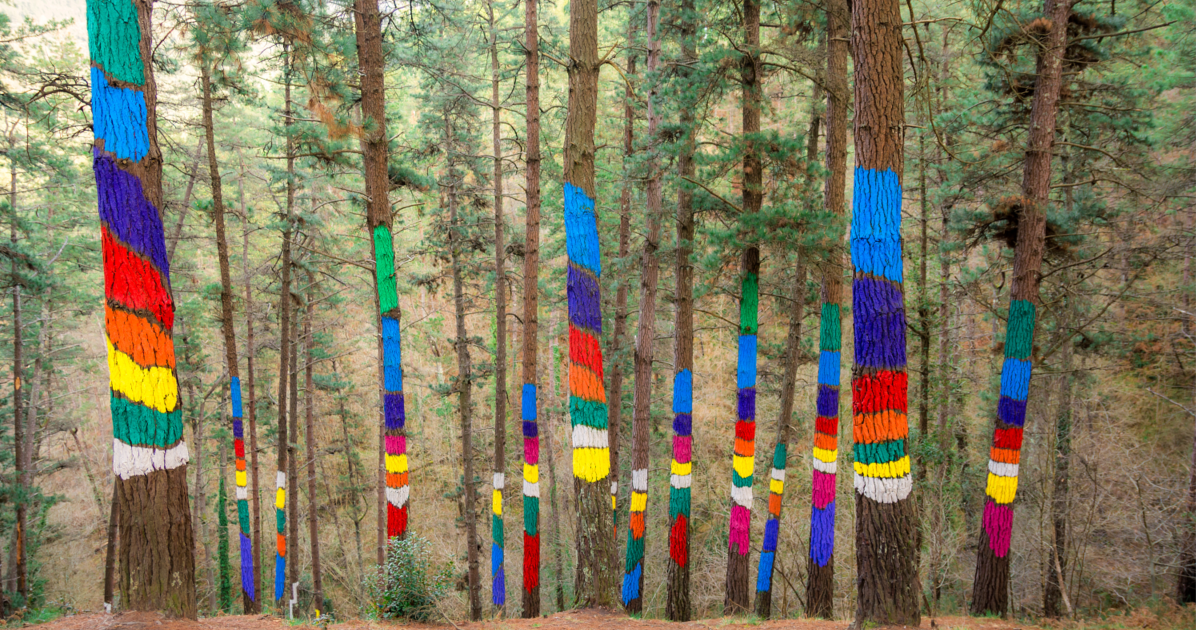 Forêt d’Oma : et si vous peigniez sur vos arbres ?