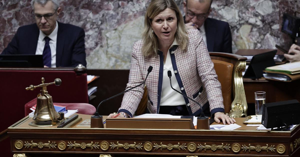 Mauvais usage de frais de mandat : les députés Andy Kerbrat (LFI) et Christine Engrand (ex-RN) convoqués à l'Assemblée le 7 mai prochain