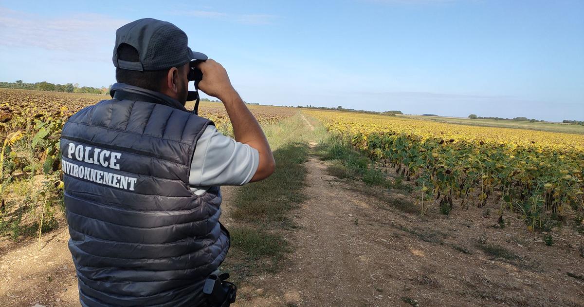 «Il y a peut-être des agents un peu trop zélés mais il s’agit d’une minorité» : cible de la colère des paysans, l’OFB tente de redorer son blason