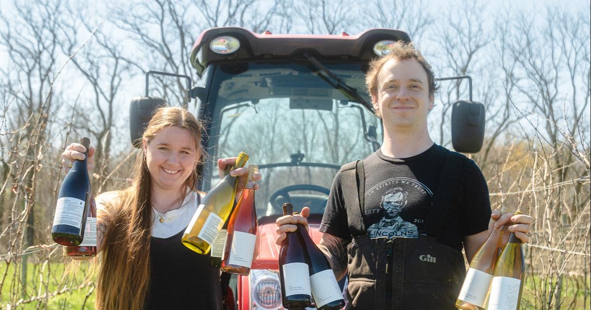 «Le terrain de toutes les possibilités pour un vigneron» : l’étonnant dynamisme des vins du Michigan