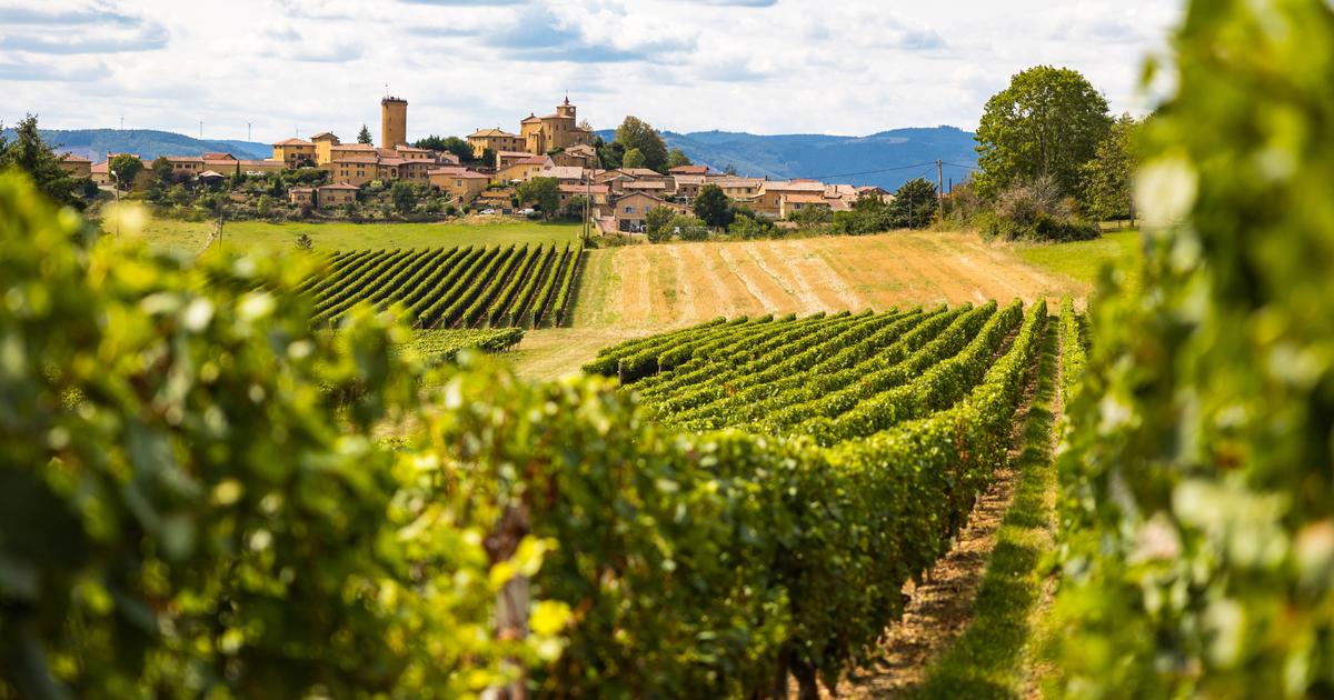 Notre sélection de beaujolais blancs vraiment exceptionnels: «Désormais, je préfère en acheter 12 plutôt qu’un grand Bourgogne»