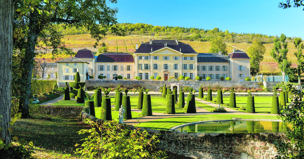 Coup de cœur pour ces vins ambitieux du Beaujolais