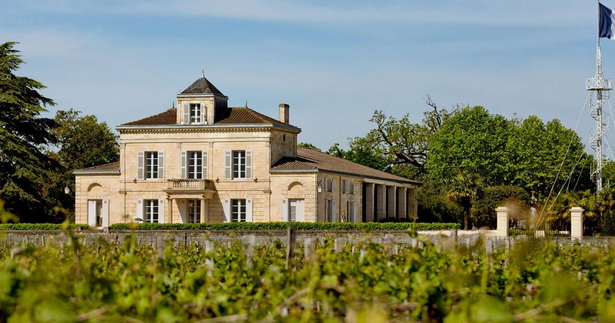 Vins de Saint-Estèphe : les 10 meilleures cuvées à s’offrir sur le millésime 2024, pour tous les budgets