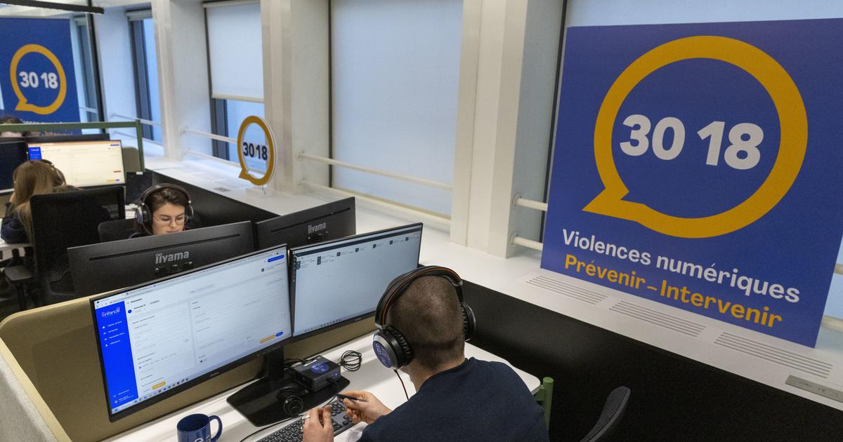 «Nous sommes un moyen de pression»: les «signaleurs de confiance», les vigies de Bruxelles pour un internet plus sûr