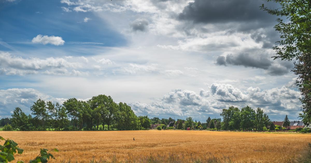 At what time should we expect this week?