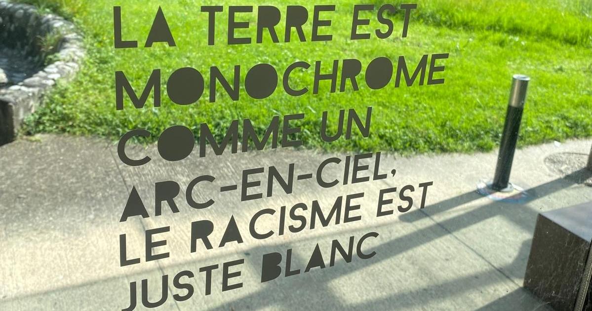 L’Université de Grenoble retire en urgence des œuvres d’art conspuant les «mâles blancs»