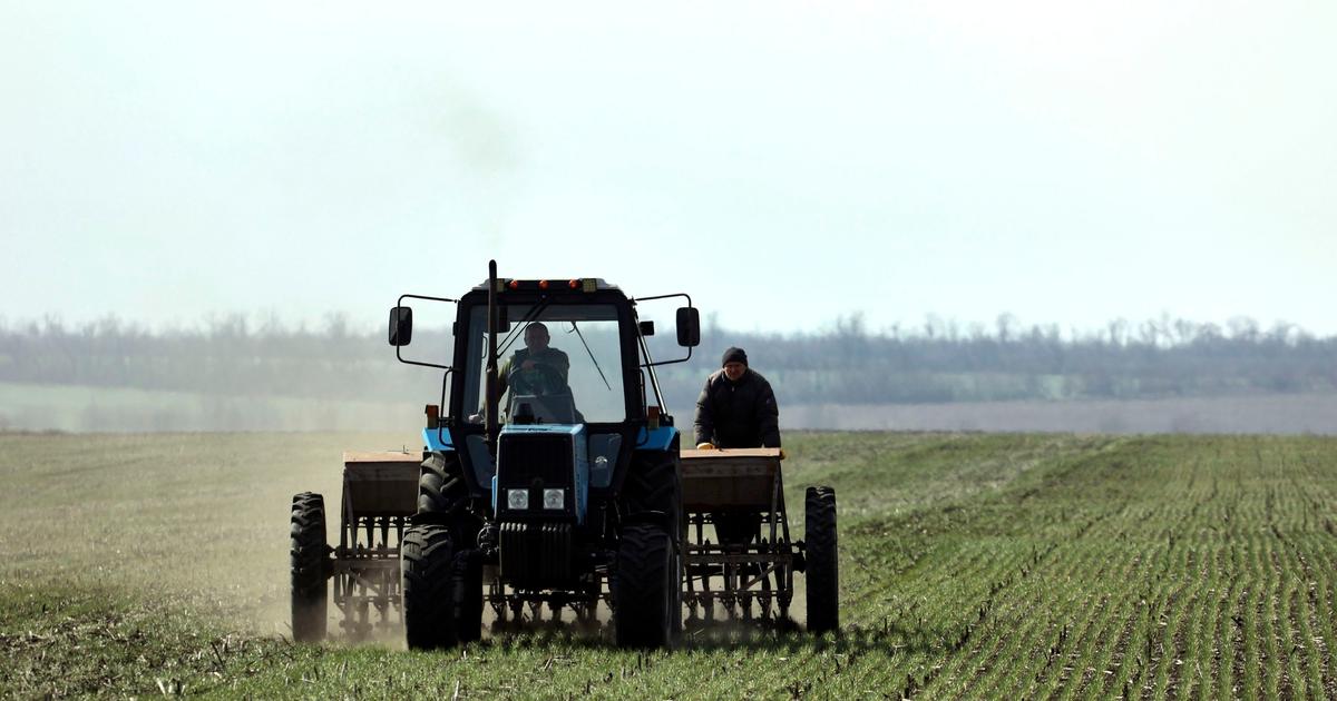 Trois ans après l’invasion russe, comment l’économie ukrainienne résiste