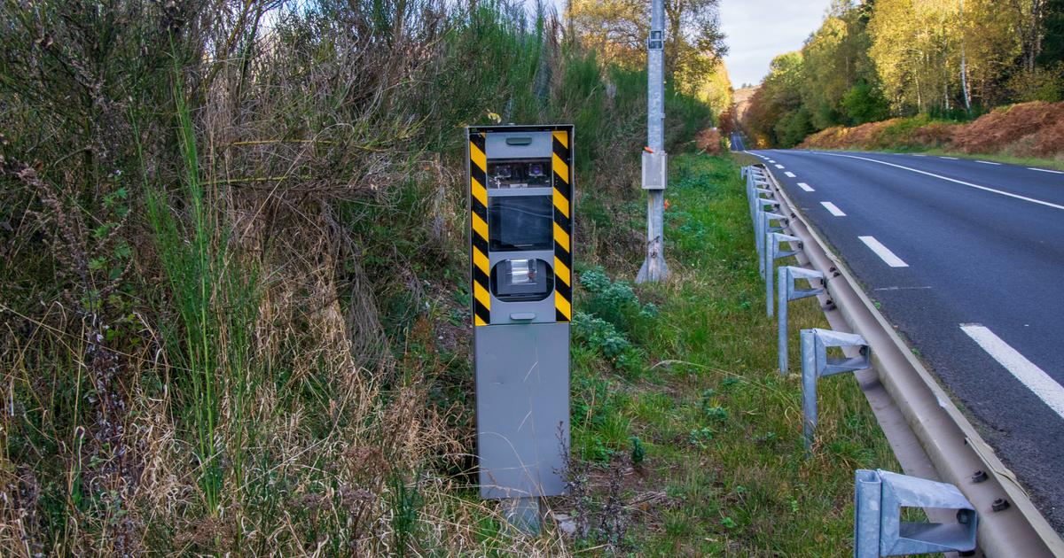 Suisse : un canard flashé en excès de vitesse par un radar
