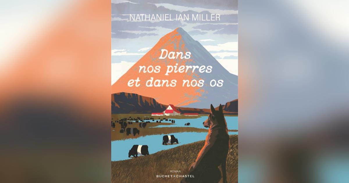 Dans nos pierres et dans nos os, de Nathaniel Ian Miller : j’avais une ferme en Islande