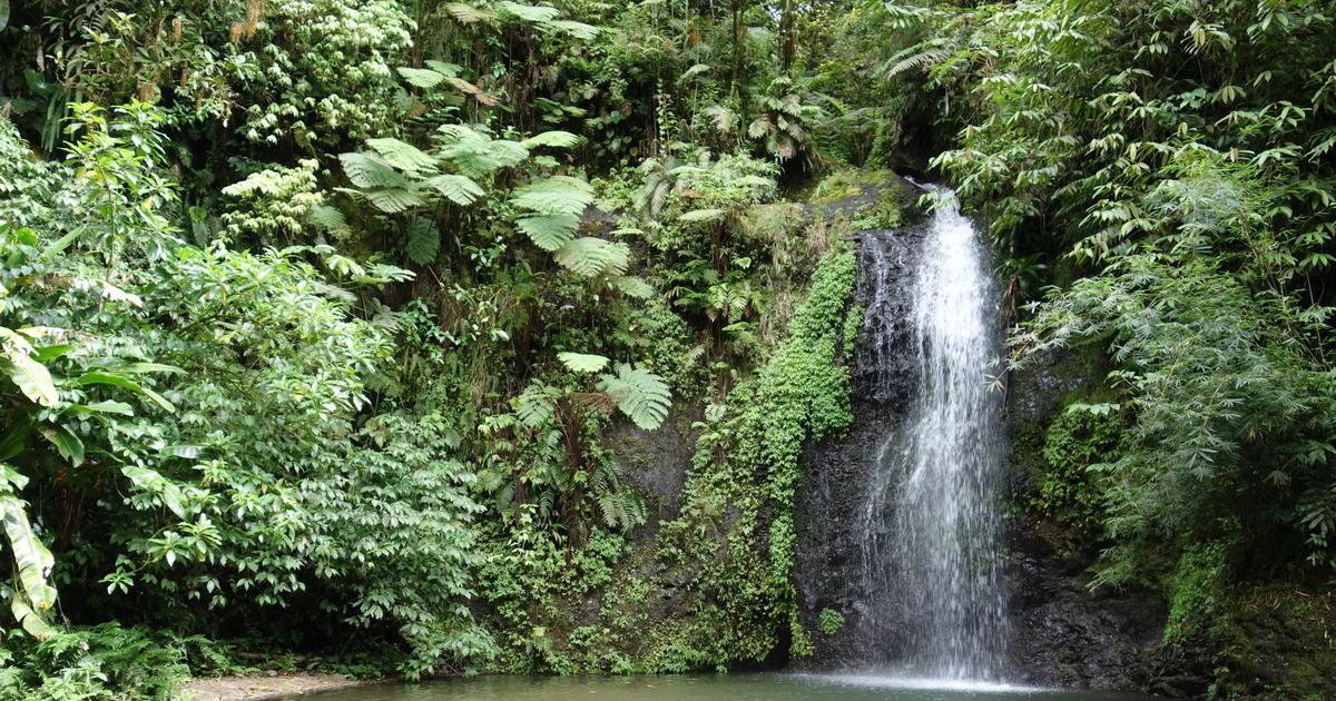 Martinique : une brusque montée des eaux dans une cascade fait un mort et un disparu