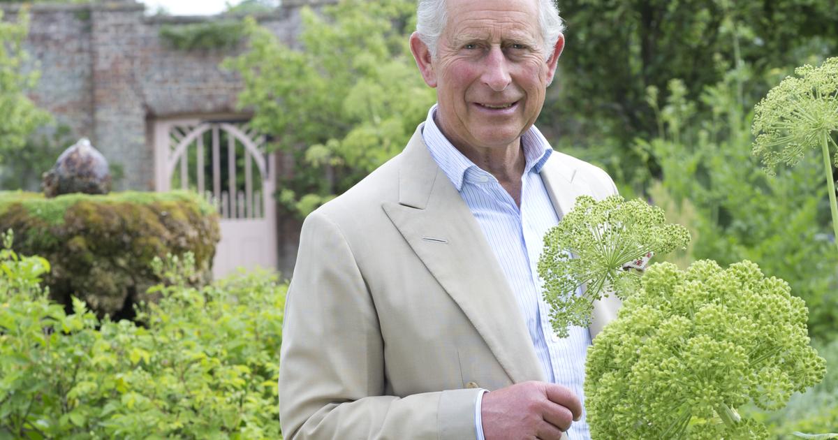 En photos : promenade enchantée à Highgrove House, dans les jardins de rêve du roi Charles III