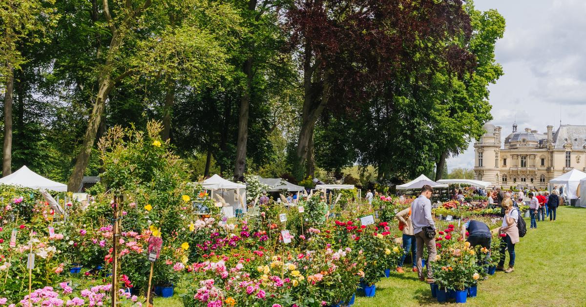 Les Journées des plantes fêtent leurs 10 ans au château de Chantilly : un week-end sous le signe des fleurs