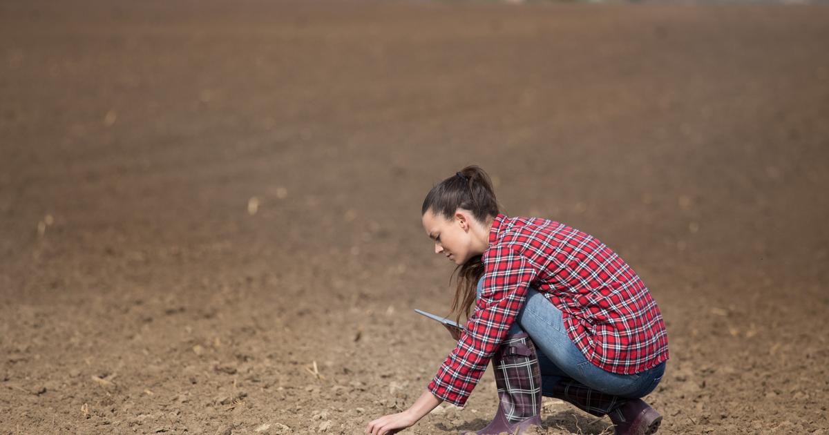 Loire-Atlantique : un ancien président de la chambre d’agriculture accusé d’avoir malmené une chargée d’études en environnement