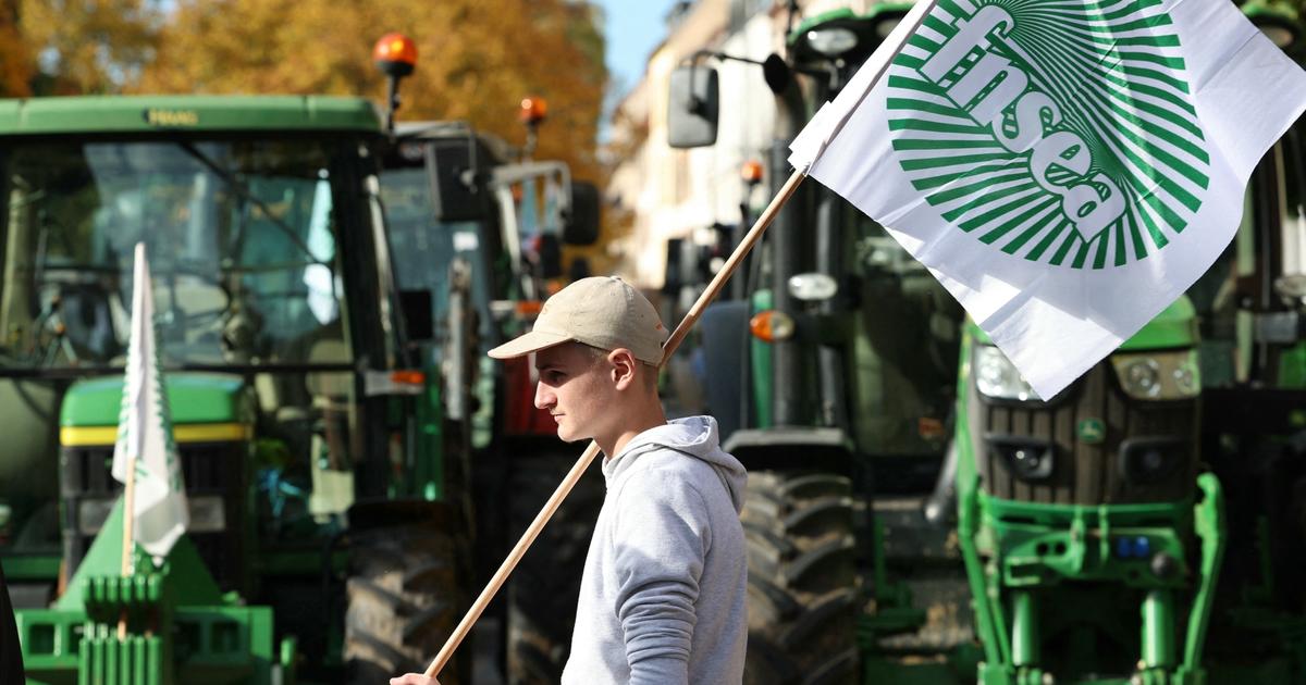 «Un sentiment de trahison» : pourquoi les agriculteurs appellent de nouveau à la mobilisation