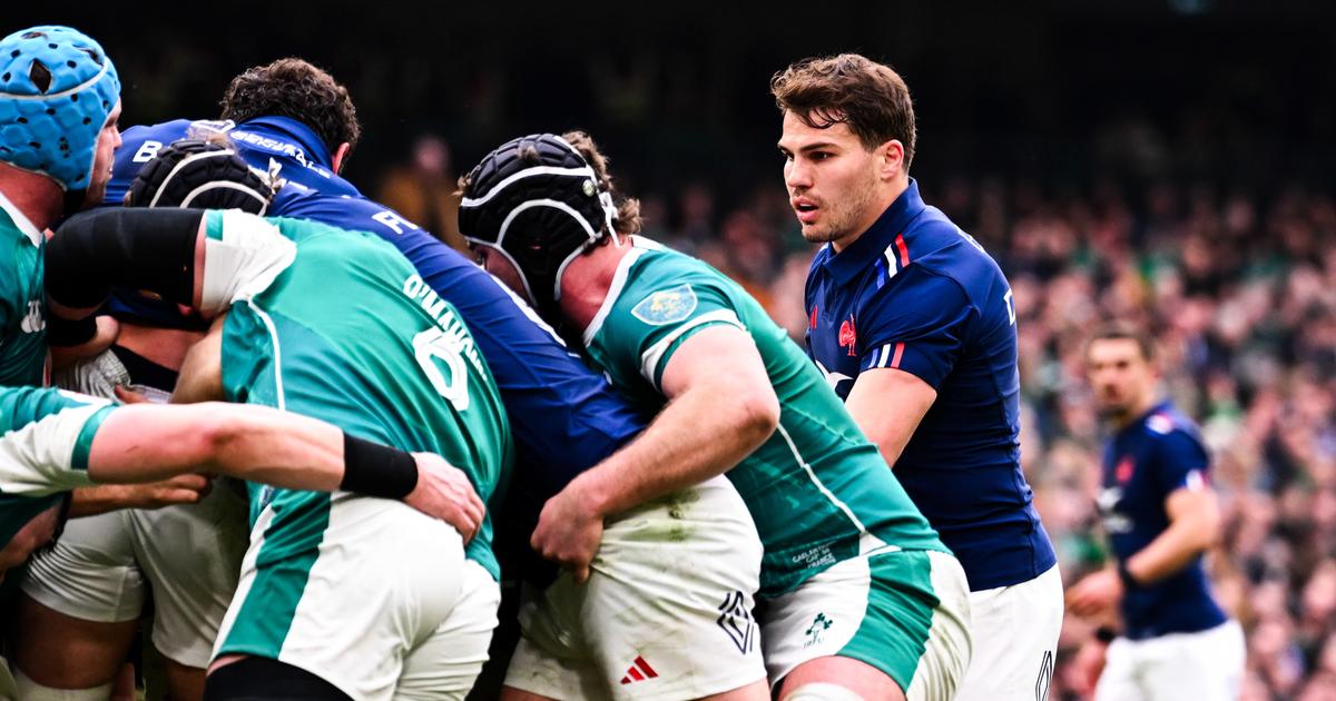 2026 Tournament Schedule: Blues vs Ireland & Key Dates