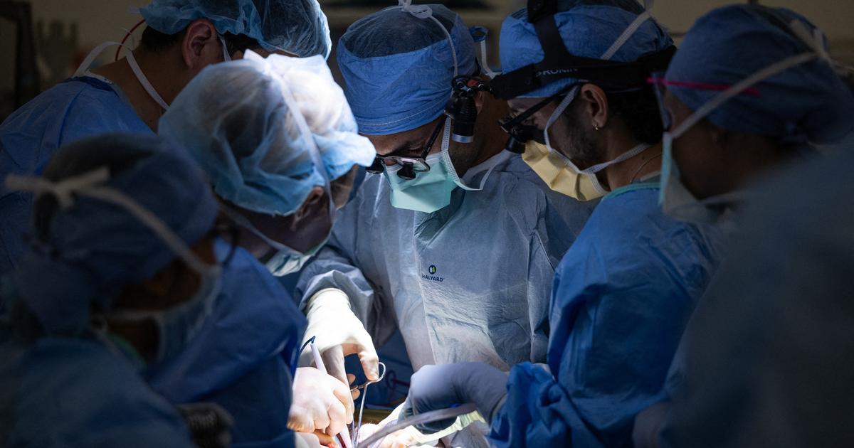 Greffe de vessie, une première mondiale mais encore beaucoup d’inconnues