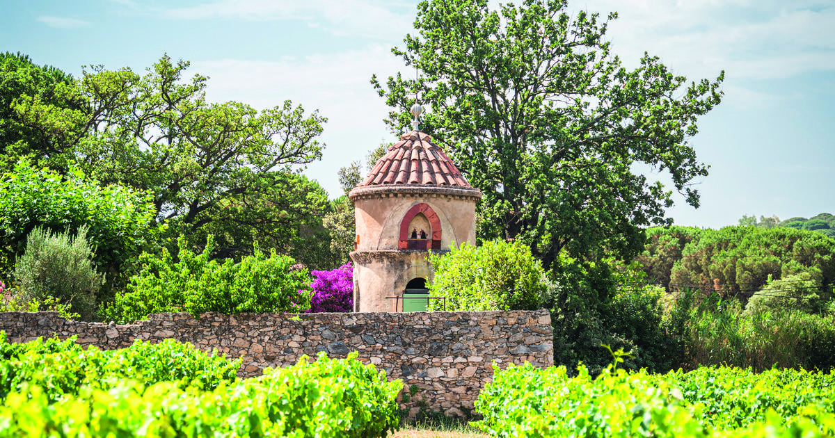 Des vins «destinés à des marchés de niche» : à la découverte d’une autre Provence viticole