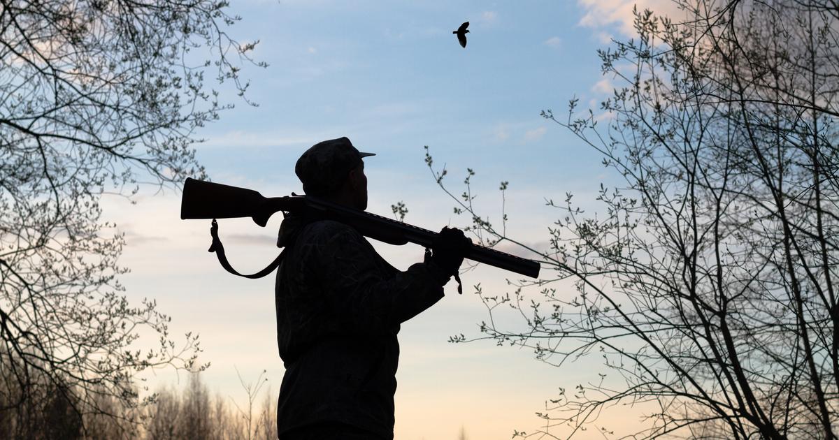 Hunters Win Case Against Environmental Group - News Directory 3