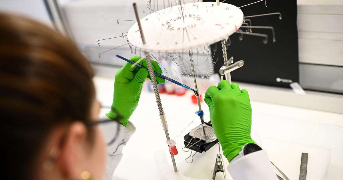 Des scientifiques français inquiets des attaques de l’administration trump contre la science aux états-unis