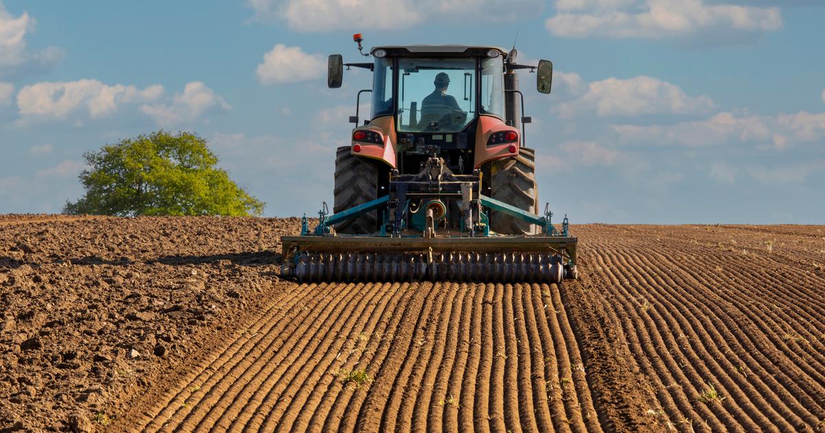 Mauvaises odeurs, dépôts sauvages… En Loire-Atlantique, le difficile apprentissage des néoruraux au bien vivre-ensemble à la campagne